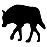 Company